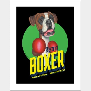 Retro Boxing Boxer Dog Posters and Art